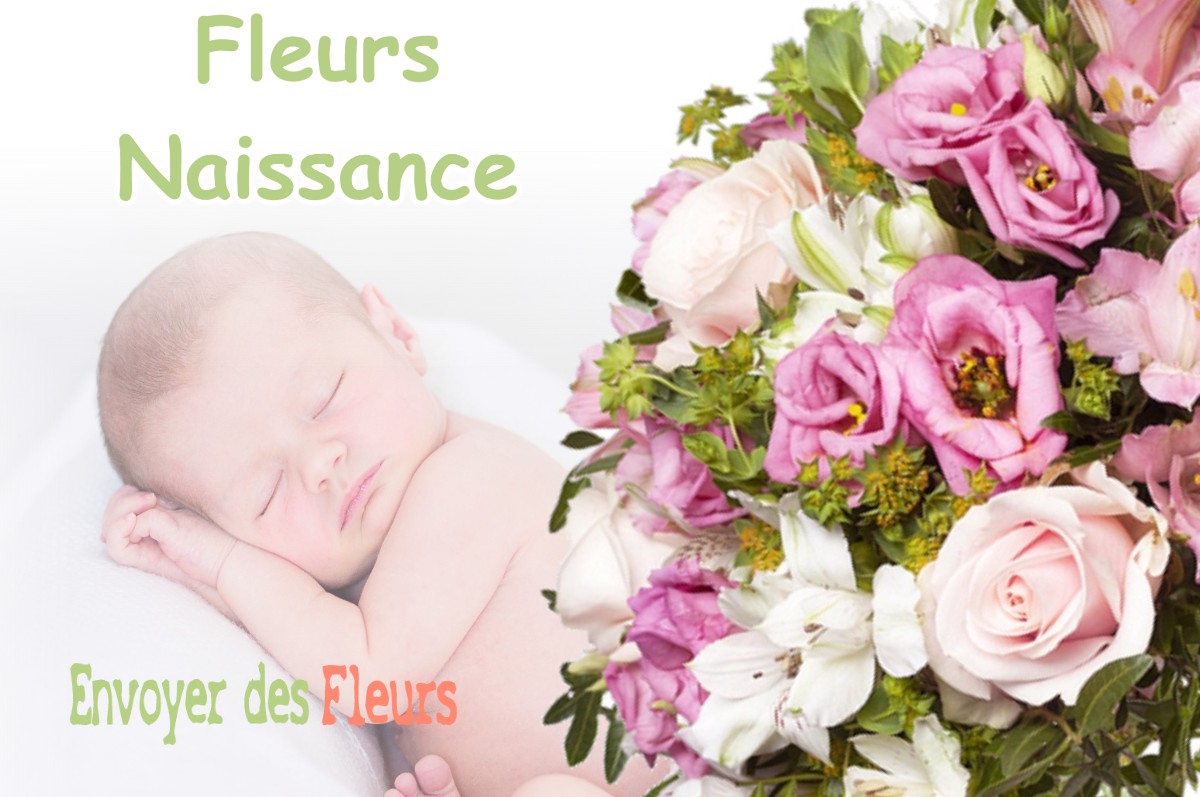 lIVRAISON FLEURS NAISSANCE à GAILLEFONTAINE